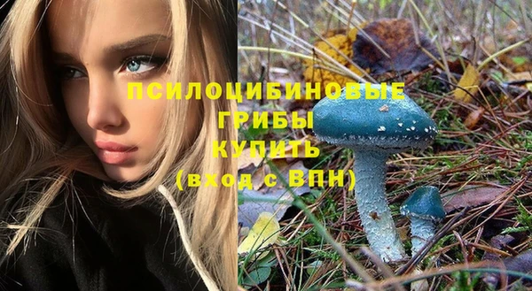 дмт Балабаново