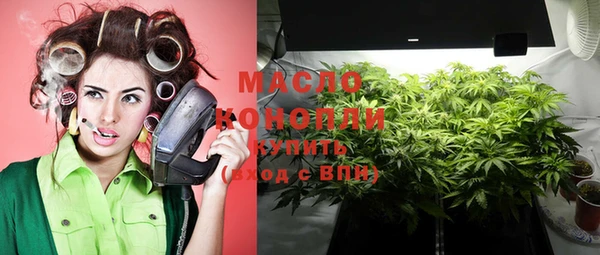 индика Баксан